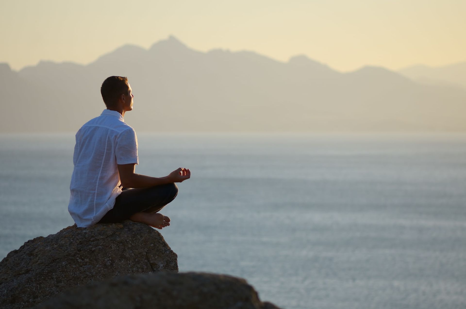 Mindfulness and Other Addiction Therapies