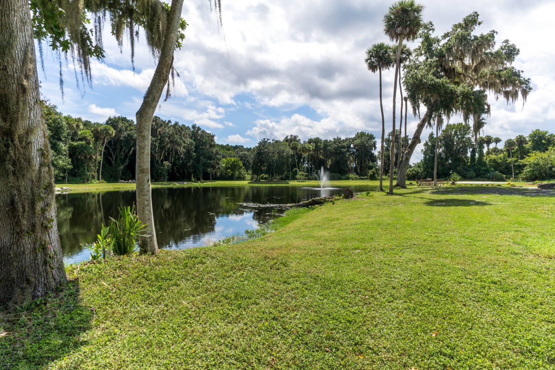 Pond outside of Serenity Spring's drug rehab