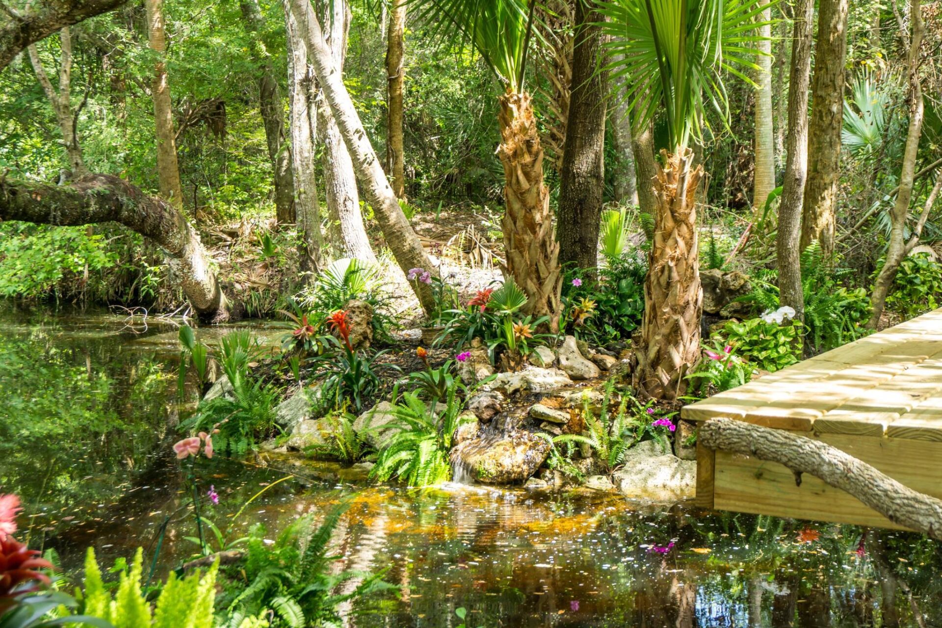 Pond with palm trees in the background